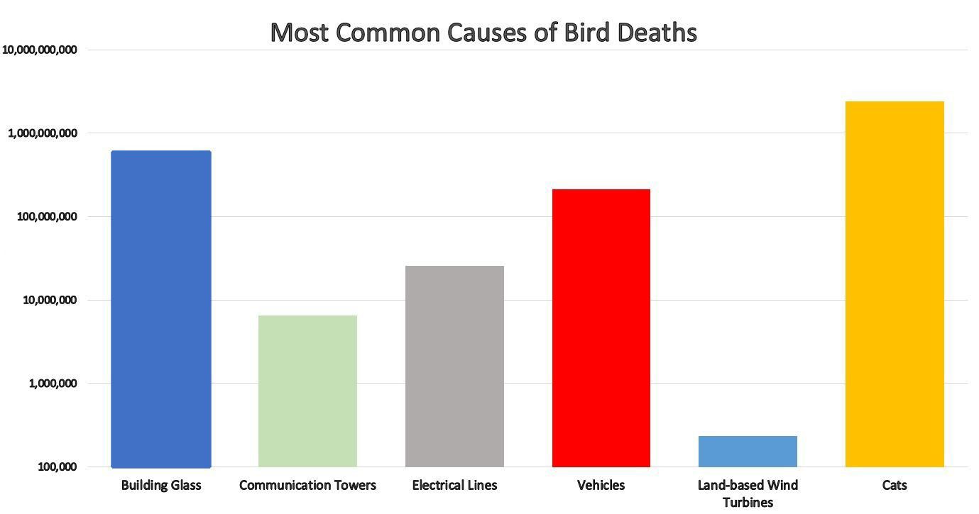 causes of bird deaths